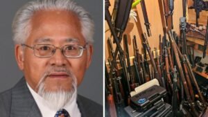 Ex-Canada MP Arrested as Police Seize 439 Guns, Antique Cannon From Home