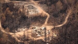 Officials Report 180 Active Wildfires Still Burning Across Northern Ontario