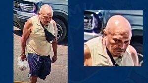 Suspect Arrested and Charged After Stabbing Spree in Downtown Hamilton: Police