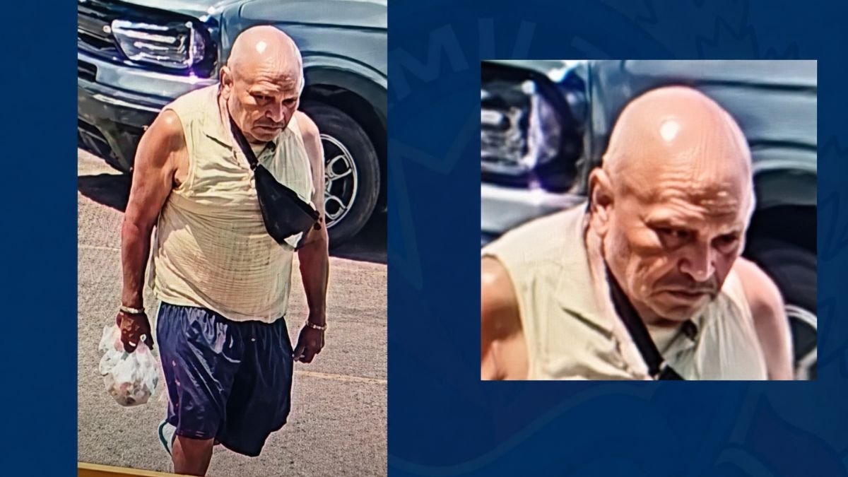 Suspect Arrested and Charged After Stabbing Spree in Downtown Hamilton: Police
