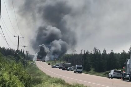 Two Paramedics and Patient Killed in Ambulance Crash in N.B.